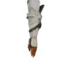 Parabraccia Aknosom