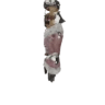 Parabraccia Anjanath S