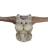 Cotta Barioth S