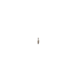 Pluma bendita