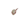 خوذة السرية X‎