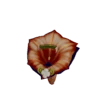 에델S프롤