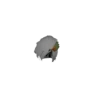 Espinas Brain