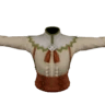 Boléro de barde