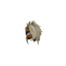 Izuchi Helm X
