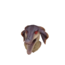 Máscara de Jaggi X