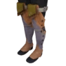 P.-tibia Jaggi S