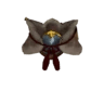 Kamura-Erbe-Obi