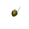 قبعة ميلاهوا S