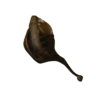 Colosso Daora
