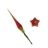 프레그랜스Ⅰ